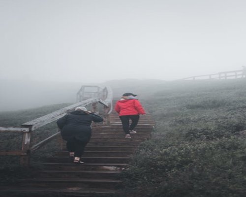 Active lifestyle morning walk on a trail